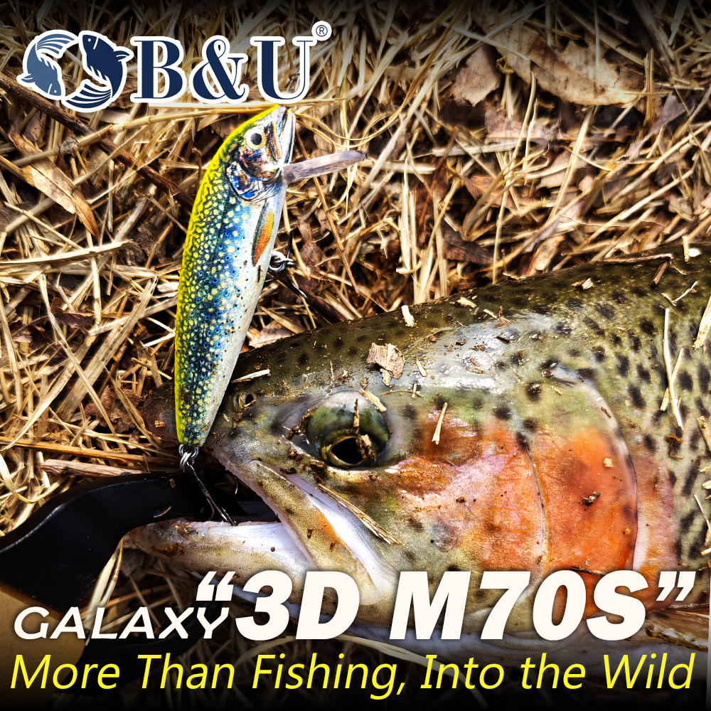 B&U Fishing Lures Sinking Minn - مراجعة Fishing Hook Treble وسعره