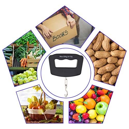 50kg Portable Handheld Digital - مراجعة Fishing Hook Stainless Steel وسعره